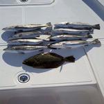 ocean isle fishing charters